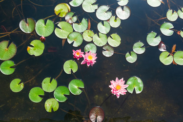 Similar image 22236628