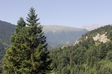 Similar image 22237380