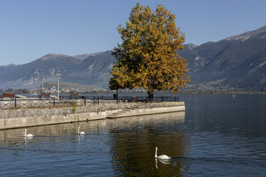 Similar image 22237189