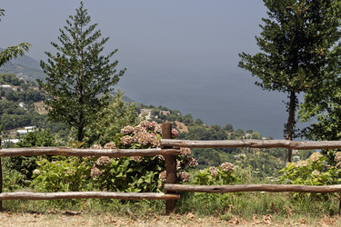 Similar image 22237190