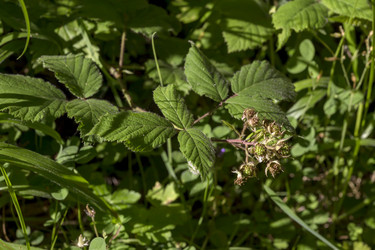 Similar image 22237191