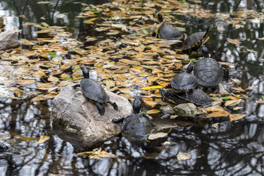 Similar image 22237386