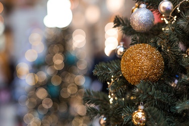 Similar image 22236491