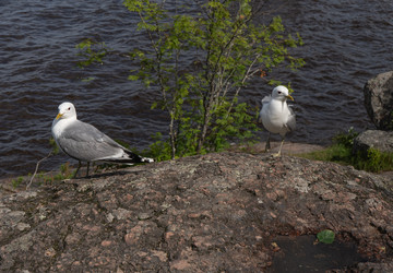 Similar image 22243441