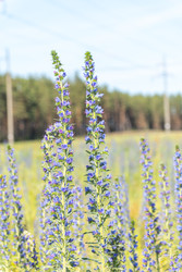 Similar image 22248039