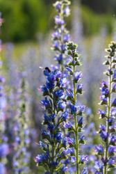 Similar image 22248040