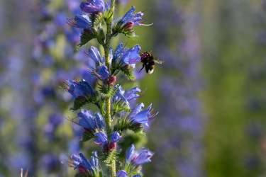 Similar image 22248044