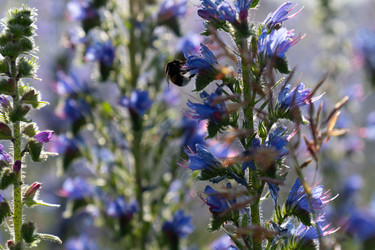 Similar image 22248045