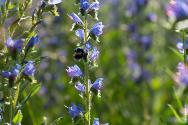 Similar image 22248046