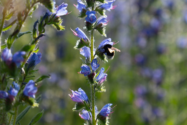 Similar image 22248047