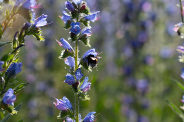 Similar image 22248048