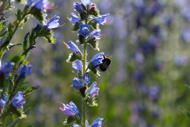 Similar image 22248049