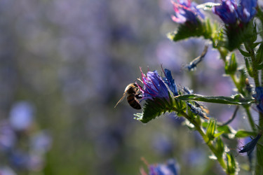 Similar image 22248051