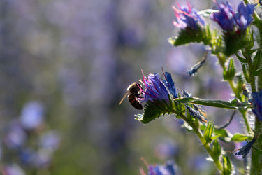 Similar image 22248052