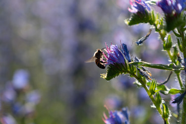 Similar image 22248053