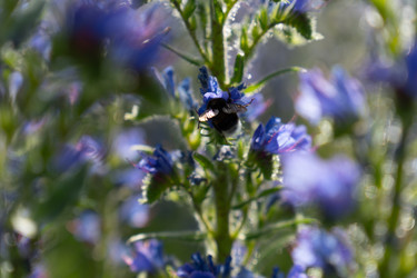 Similar image 22248054