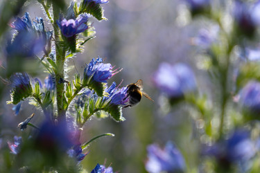 Similar image 22248055