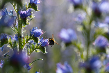 Similar image 22248056