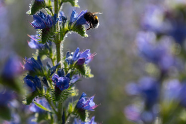 Similar image 22248057