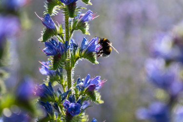 Similar image 22248058