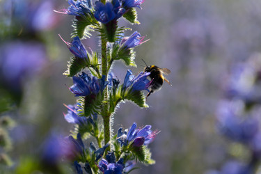 Similar image 22248059