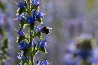 Similar image 22248060