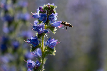 Similar image 22248061