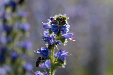 Similar image 22248062