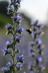 Similar image 22248063