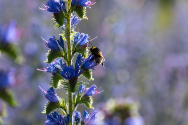 Similar image 22248064