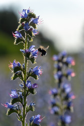 Similar image 22248065