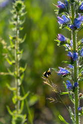 Similar image 22248066