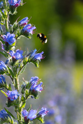 Similar image 22248067