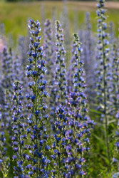 Similar image 22248070