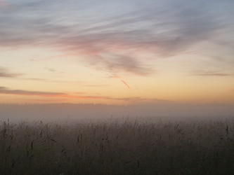 Similar image 22237196