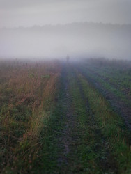 Similar image 22237198