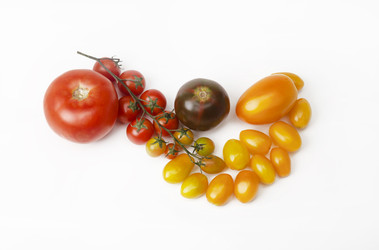 Similar image 22236497