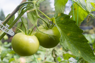 Similar image 22236498