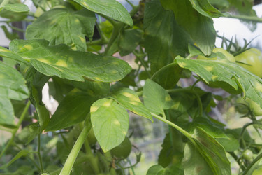 Similar image 22236500