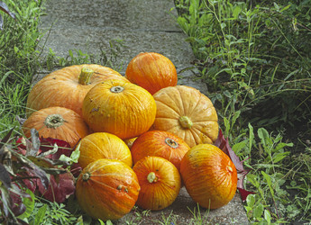 Similar image 22236502