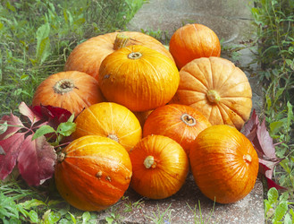 Similar image 22236503