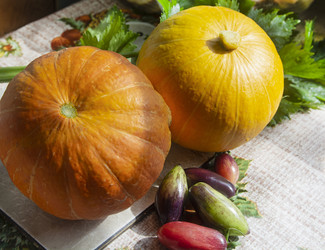 Similar image 22236504