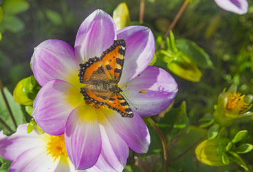 Similar image 22236506