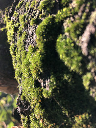 Similar image 22236820