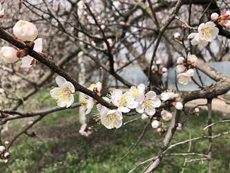 Similar image 22236822