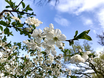 Similar image 22236826