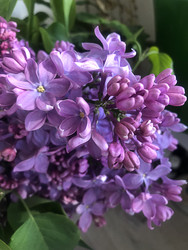 Similar image 22236829