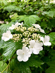 Similar image 22236831