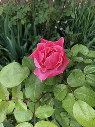 Similar image 22236832