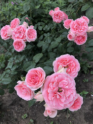 Similar image 22236834